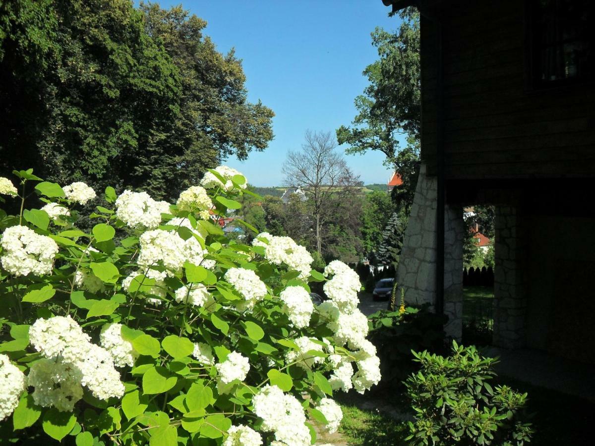 Noce I Dnie - Apartamenty I Pokoje Kazimierz Dolny Bagian luar foto